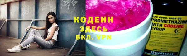 молекула духа Краснослободск