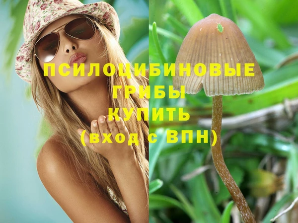 стафф Красноперекопск