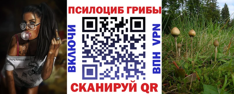 Купить закладки  Липки  Галлюциногенные грибы мухоморы 
